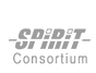 SPIRIT Consortium